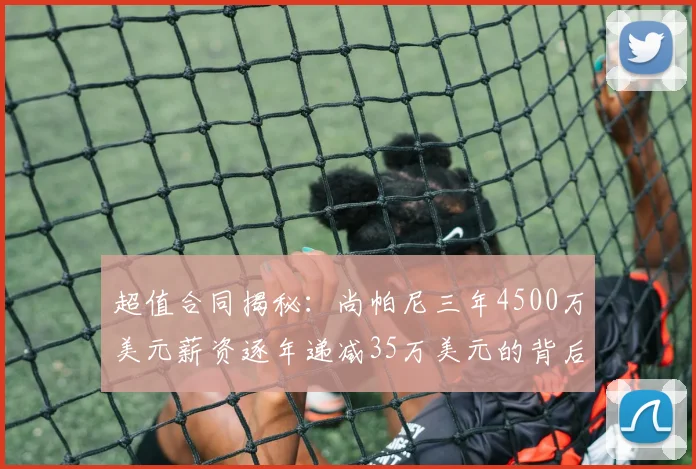 超值合同揭秘：尚帕尼三年4500万美元薪资逐年递减35万美元的背后故事